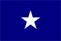 Bonnie Blue Flag Medium