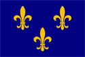 French Fleur de Lis Flag Medium