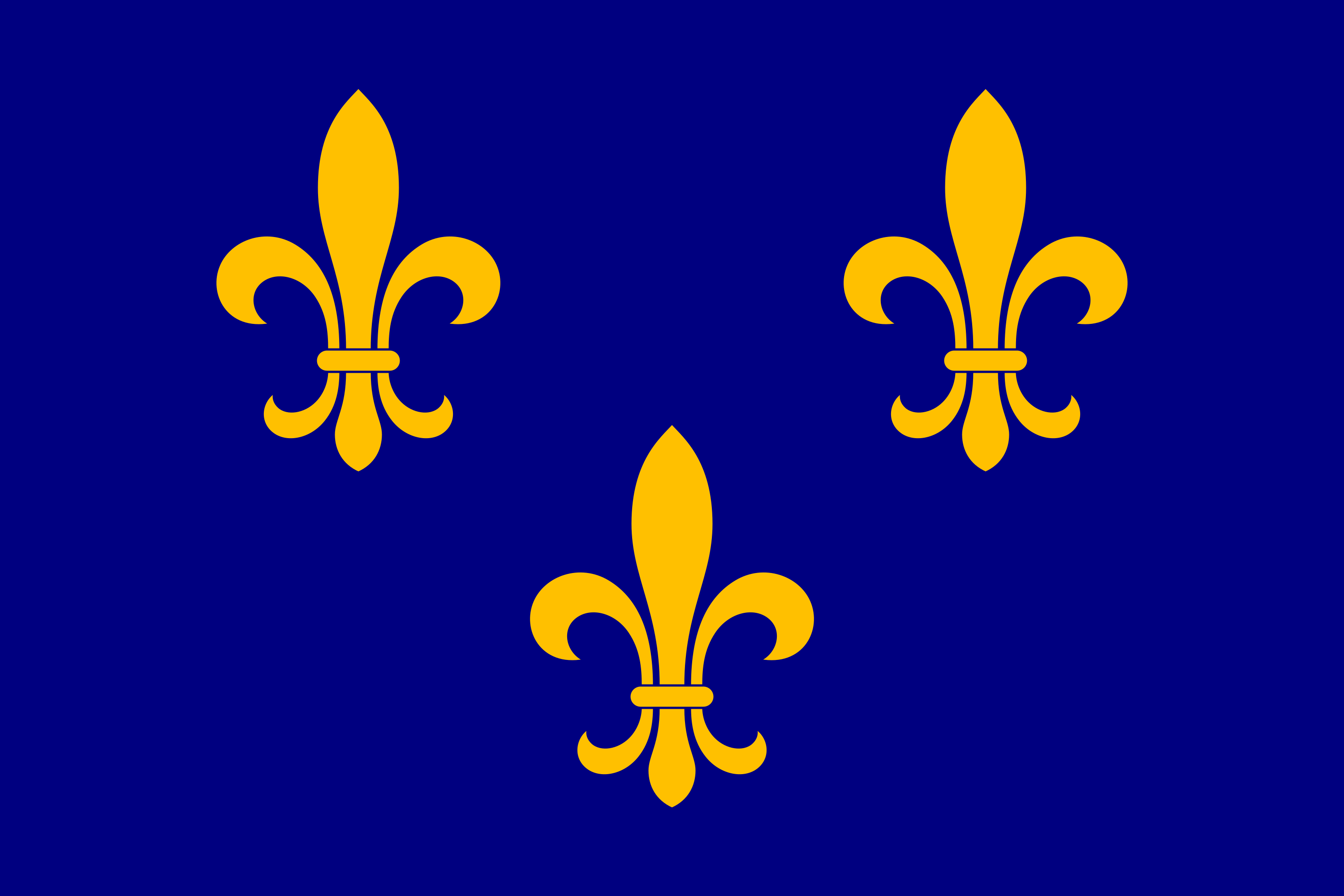 French Fleur De Lis Flag
