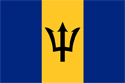Barbados Flag Medium