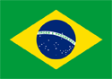 Brazil Flag Medium