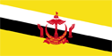 Brunei Flag Medium