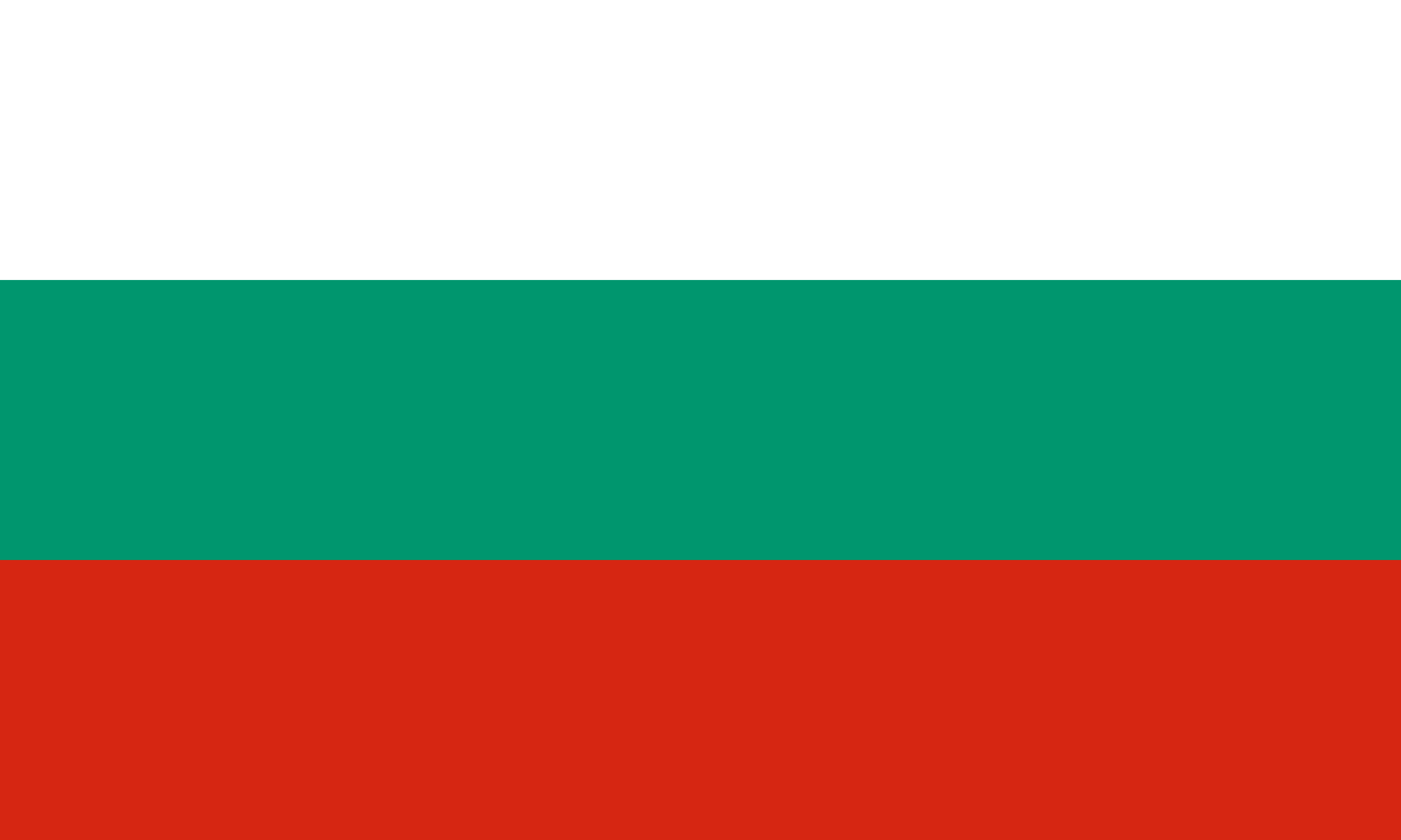 Bulgaria National Bunting 9 metres long 30 flags 
