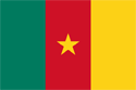 Cameroon Flag Medium
