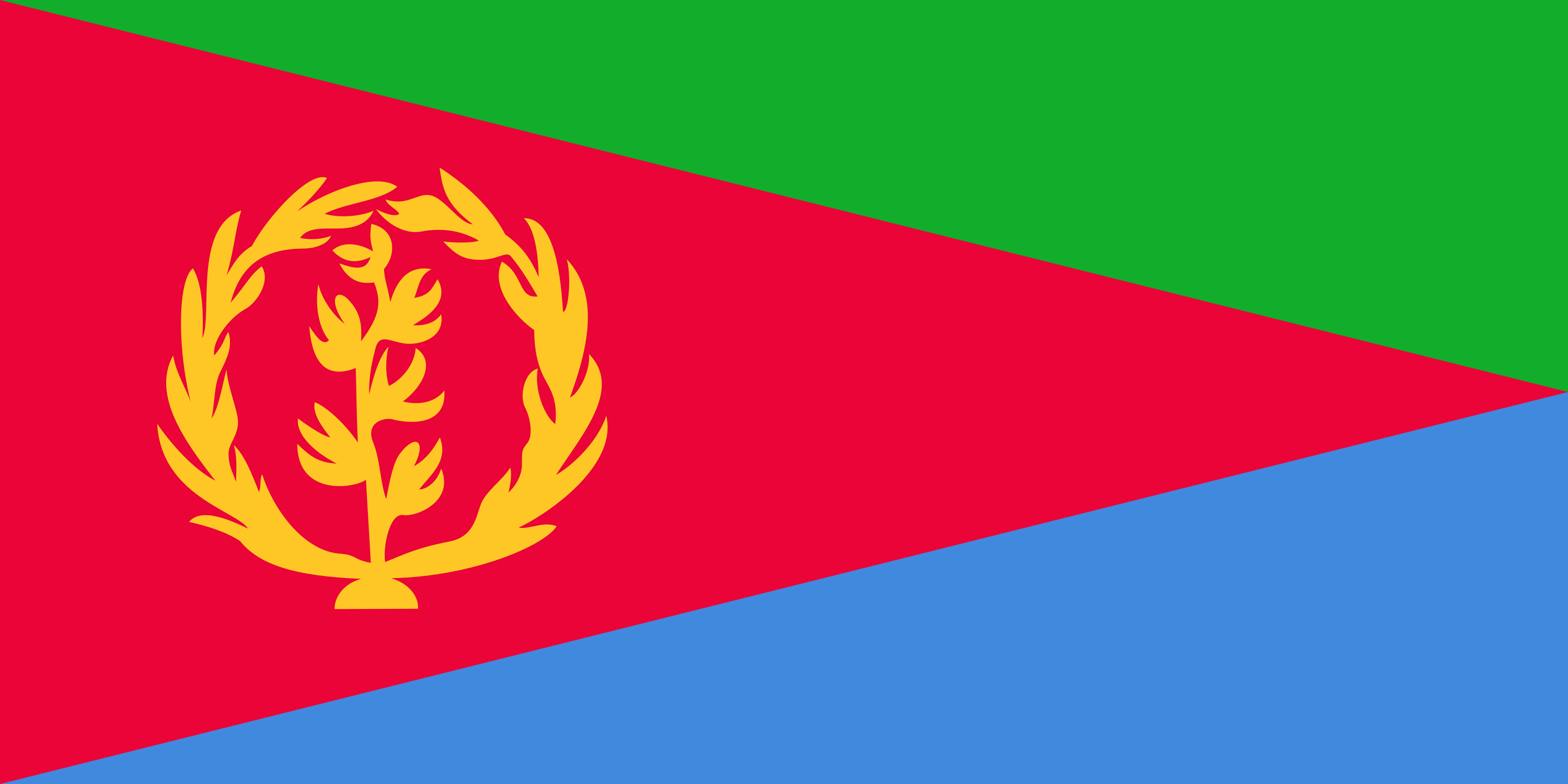 Eritrea National Bunting 9 metres long 30 flags 