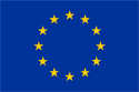 European Union Flag Medium