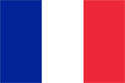 France Flag Medium