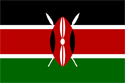 Kenya Flag Medium