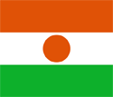 Niger Flag Medium