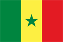 Senegal Flag Medium