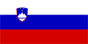 Slovenia Flag Medium