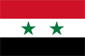Syria Flag Medium
