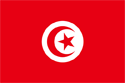 Tunisia Flag Medium
