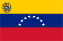 Venezuela Flag Medium