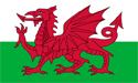 Wales Flag Medium