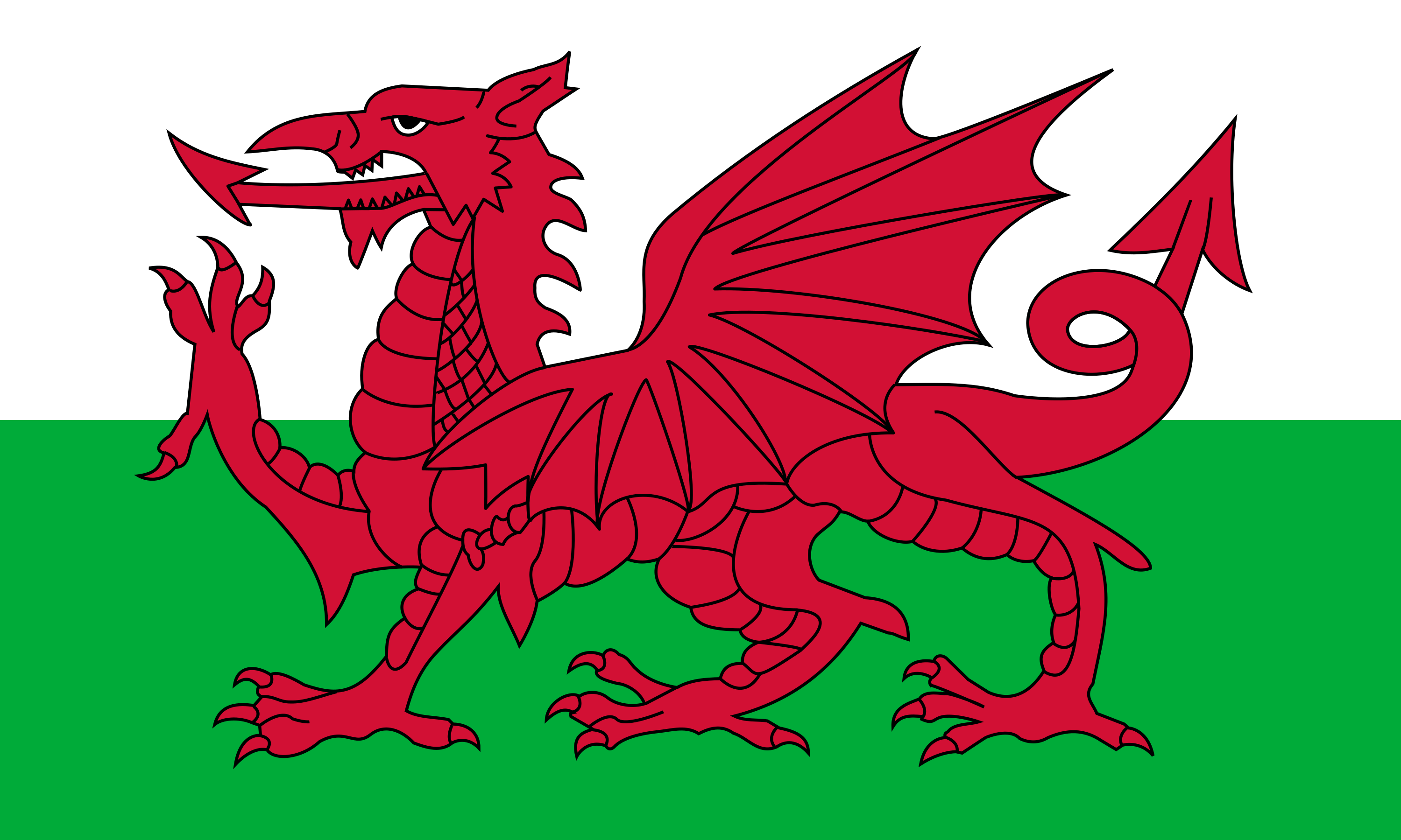 Welsh Flag Dragon Wales Unisex Novelty Ankle Socks Adult Size 6-11 