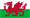 Wales Flag Icon