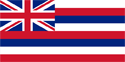 Hawaii Flag Medium