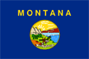 Montana Flag Medium