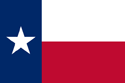 Texas Flag Medium