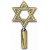 Polished Brass Star of David +$44.24