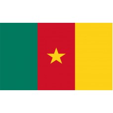 Cameroon Flag Outdoor Nylon