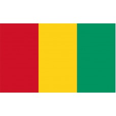 Guinea Flag Outdoor Nylon