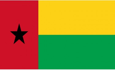 Guinea-Bissau Flag Outdoor Nylon