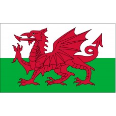 Wales Flag Outdoor Nylon