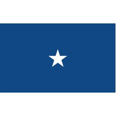 1 Star Seagoing Navy Commodore Outdoor Flag