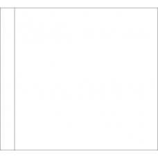 Motorcycle Racing One Lap To Go White Flag